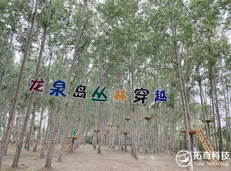 qsy4.jpg